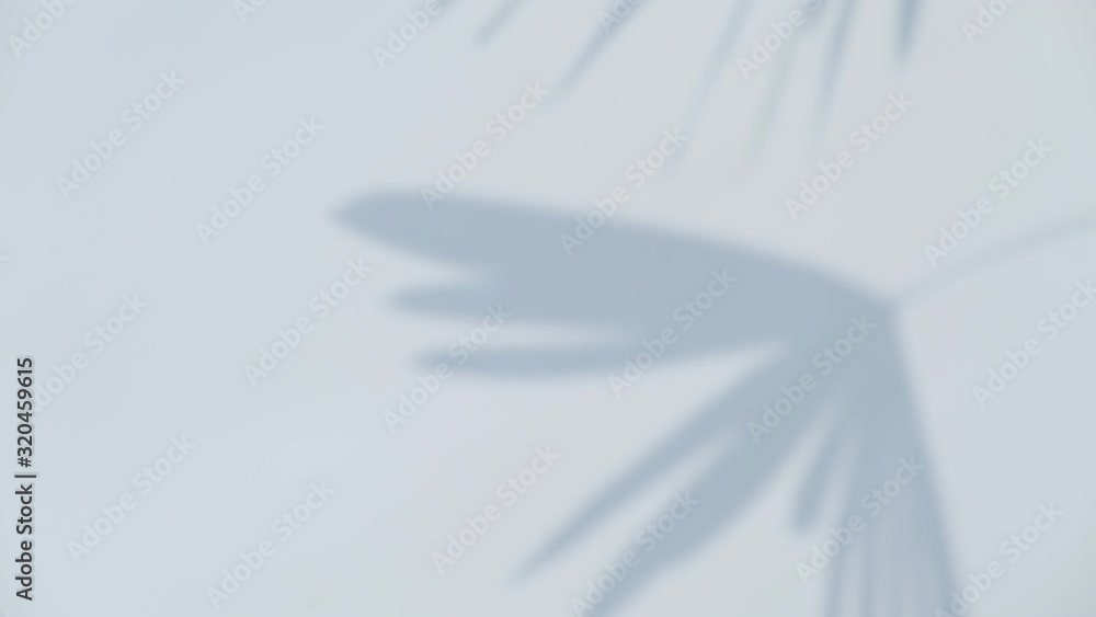 Close up silhouette shadow of palm leaves motion by natural wind on white wall background. Close up silhouette shadow of palm leaves motion by natural wind on white wall background.