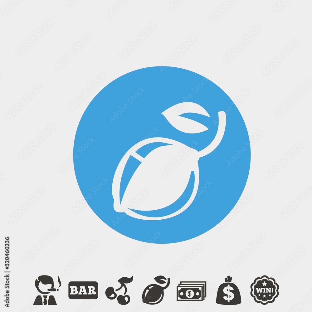 Fototapeta premium lemon icon vector illustration and symbol foir website and graphic design