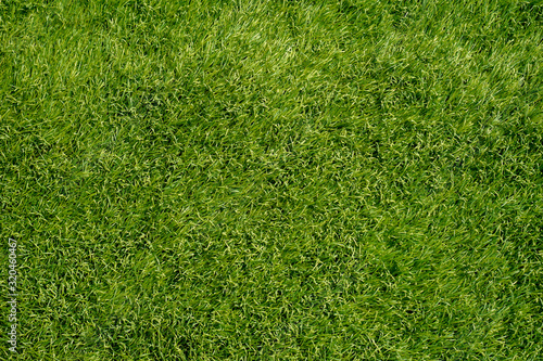 Full frame artificial grass in front of the house..