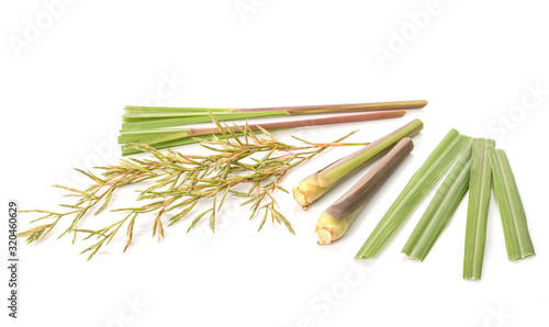 Flower and leaf of red Lemongrass or citronella grass. Studio shot isolated on white