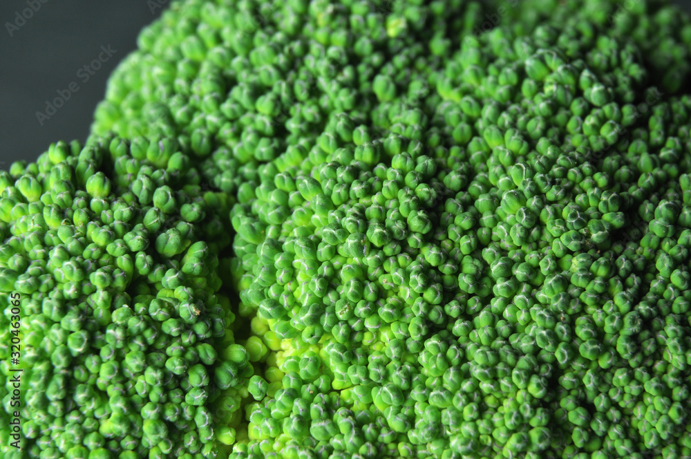 flower head of a raw broccoli with green florets