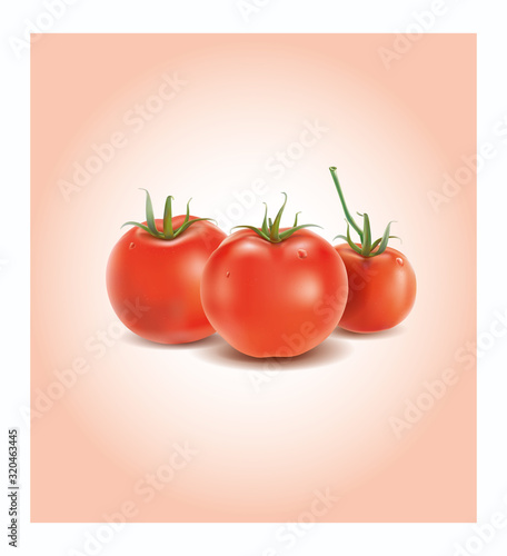 Isolated fresh and juicy tomatoes photo realistic illustration.