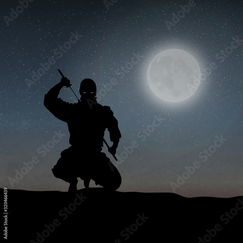 A Japanese Ninja Under The Moonlight