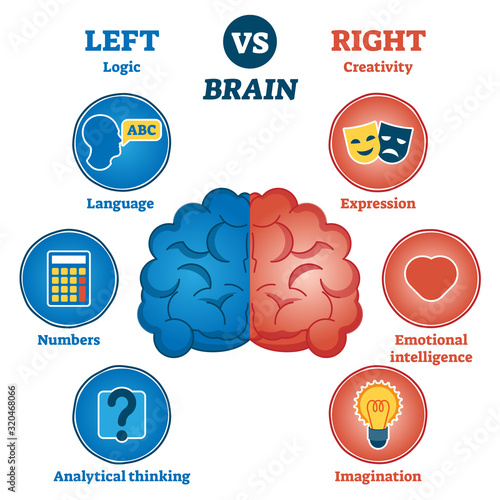 Left versus right brain traits diagram