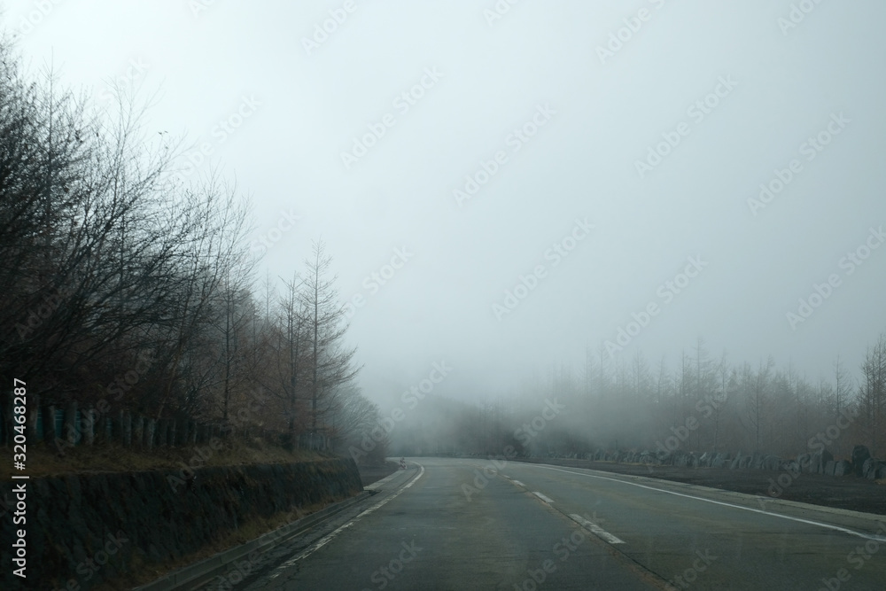 Fototapeta premium A foggy journey to Mount Fuji, Japan.
