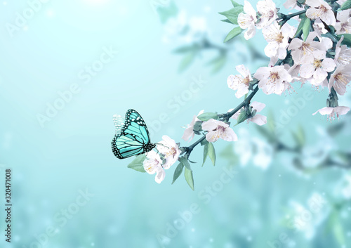 Photography Beautiful magic spring scene with cherry flowers and butterfly