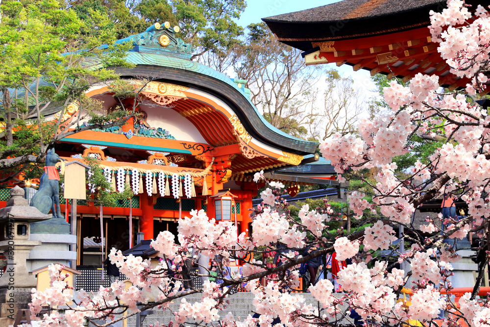 Fototapeta premium Ancient pavilion and blooming sakura in Fushimi Inari shrine, Kyoto, Japan