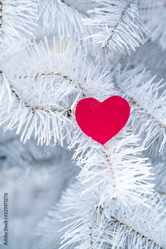 Winter cool and a loving heart. Red Heart on white branches.