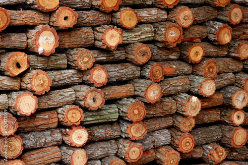 Stacked wood timber for construction buildings Background