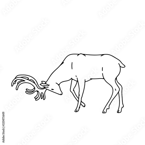 Wild dark deer male buck with branched horns attack butt view profile vector outline black white sketch illustration.