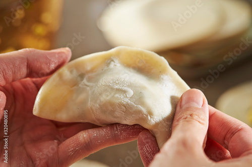 Home made hand wrapping dumpling 