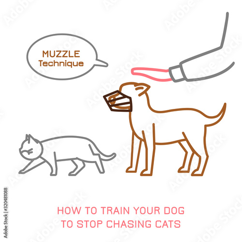 Dog training technique