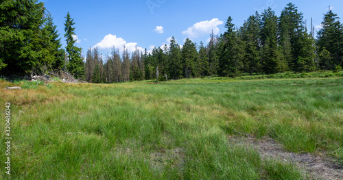 Landscape of grasslands