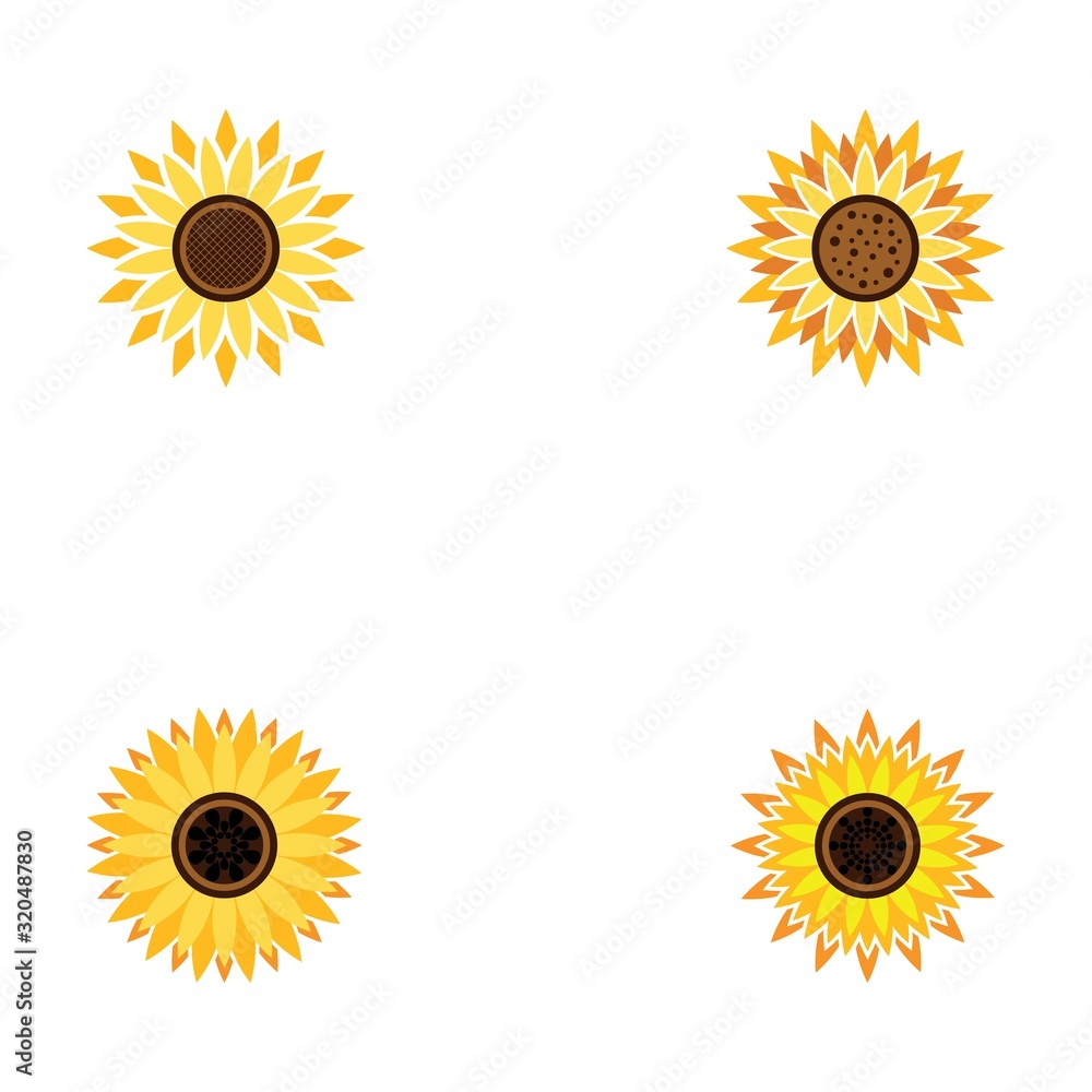 Set of vector illustration icon of beautiful sunflower with white background Set of vector illustration icon of beautiful sunflower with white background