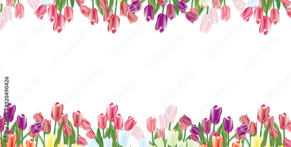 カラフルな春の花チューリップのイラストが一列に並んだバナー素材 Stock Illustration Adobe Stock