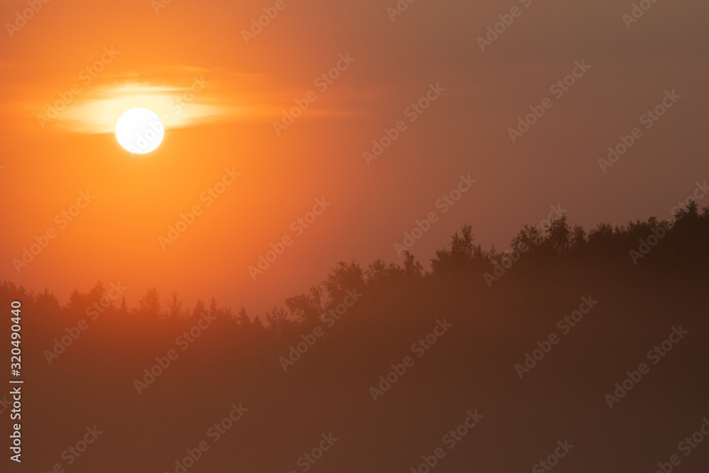 red morning with foggy forest