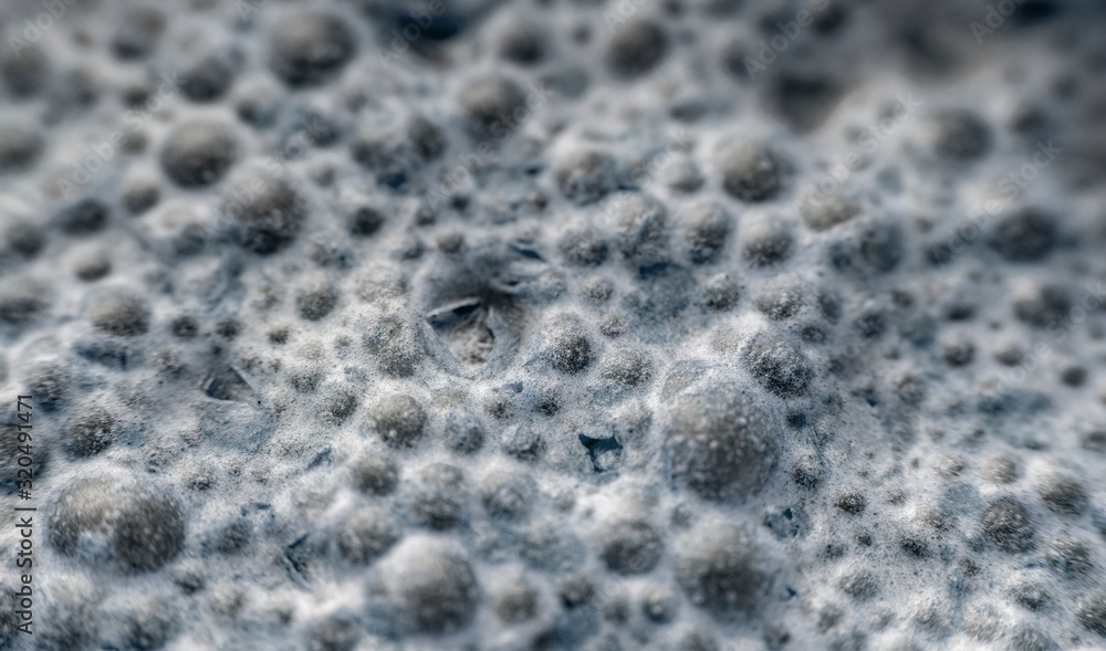 Mold in the foreground Mold in the foreground