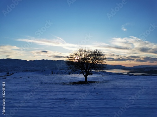 tree, landscape, sunset, sky, winter, nature, lake, water, sun, blue, sunrise, snow, river, reflection, trees, cold, morning, season, evening, fog, clouds, spring, mist, lonely, mountain