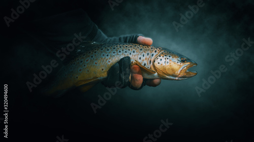 Beautiful trout close-up on a dark background.