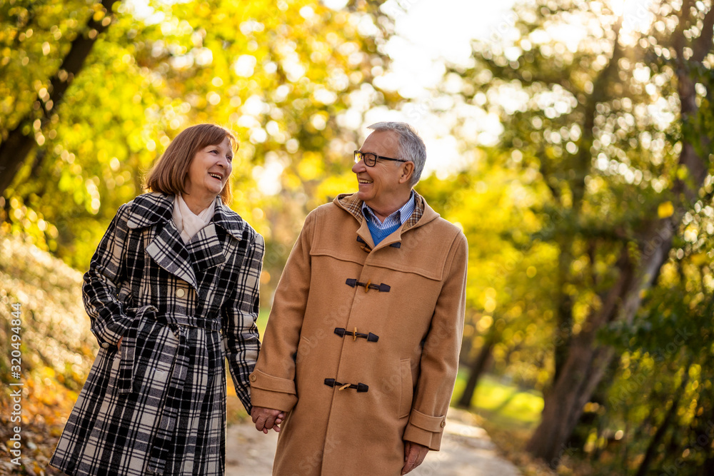 Romantic senior couple is walking in park in autumn. Romantic senior couple is walking in park in autumn.