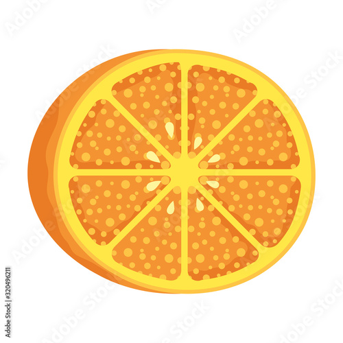 orange citrus fruit isolated icon