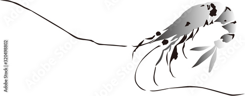 浮世絵　エビ　その5