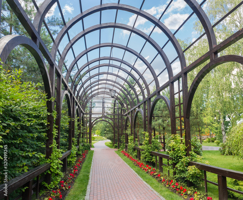 Wooden arched pergola in summer park photo