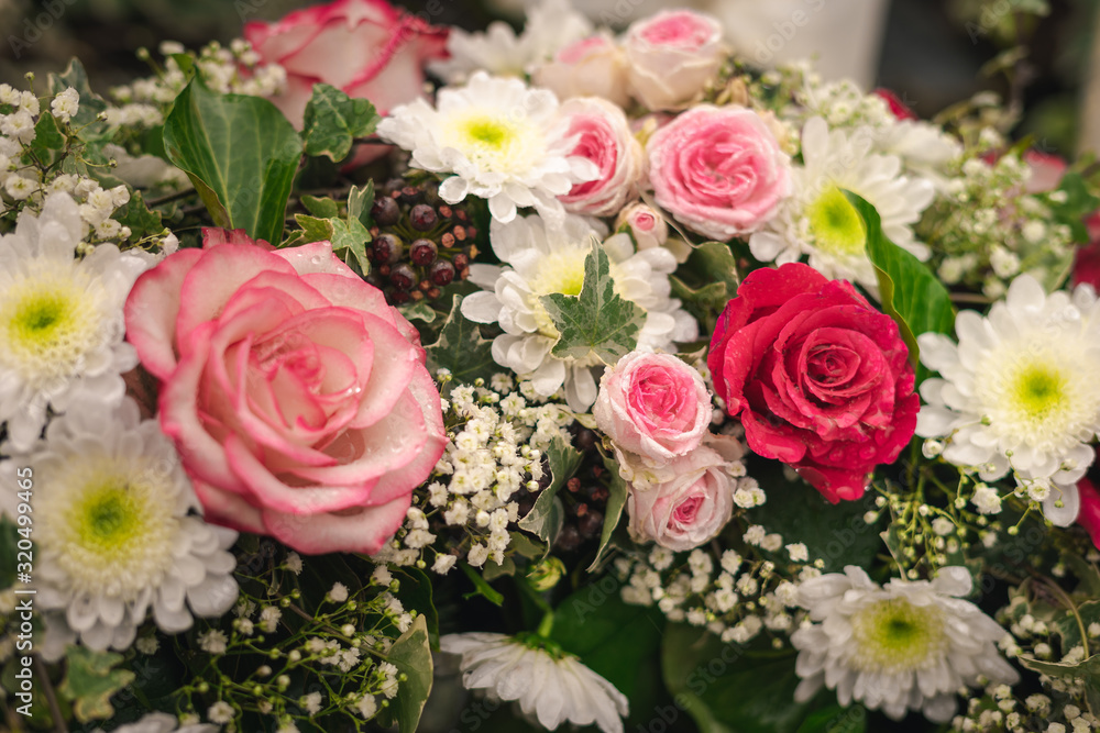 colorful flowers and beautiful roses