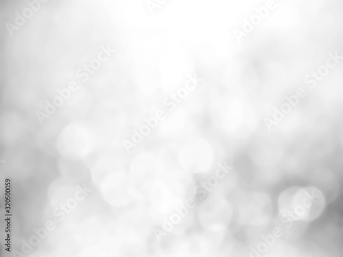white blur abstract background.silver and white bokeh.