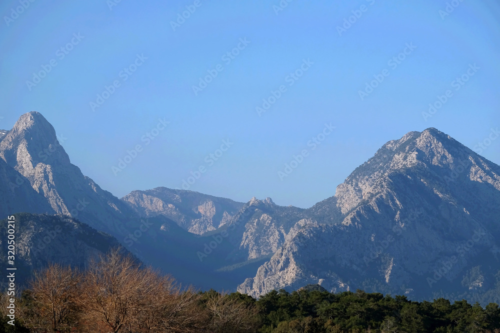 Natural landscape with high mountains with pine vegetation on slopes and foothill under blue clear cloudless sky on sunny day
