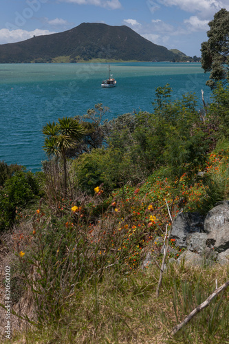 Houhora Henderson Bay. Northland New Zealand coast. Bay photo