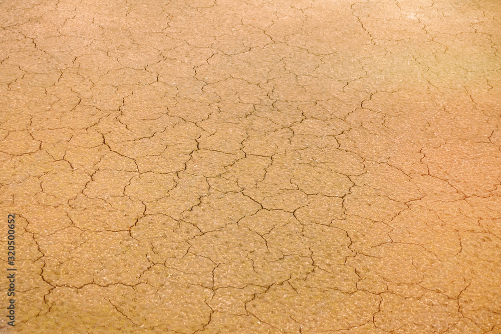 Texture of cracked soil in the desert, close-up Texture of cracked soil in the desert, close-up