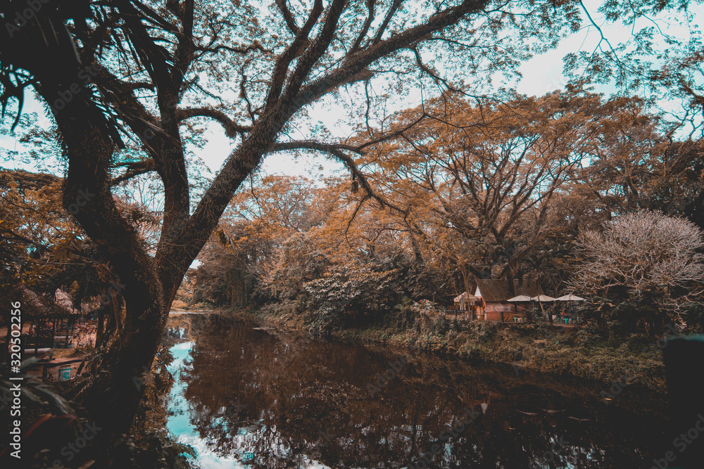 Fototapeta premium before everything falls