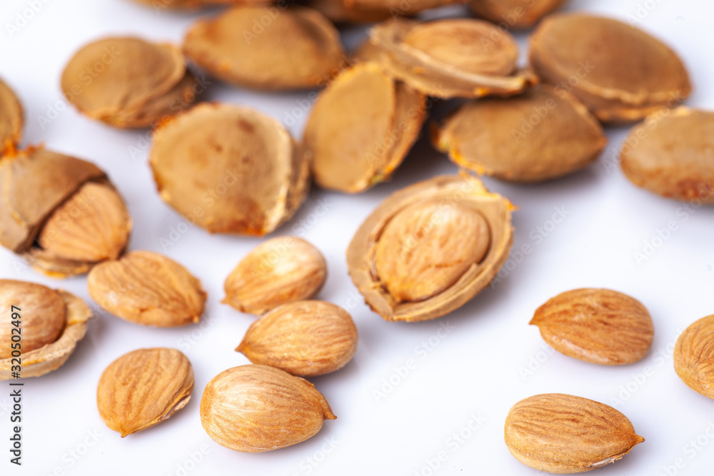 apricot kernel isolated on white background apricot kernel isolated on white background