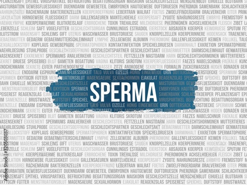 Sperma photo