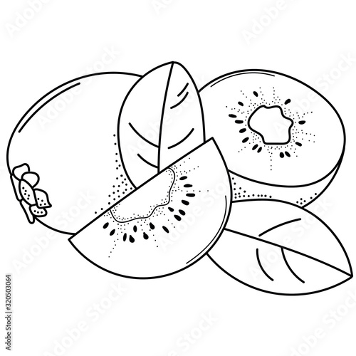 Hand drawing kiwi; doodle fruits for stickers, posters, web design. Black and white vector illustration.