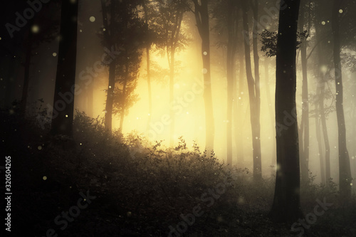 dark fantasy forest, magica...