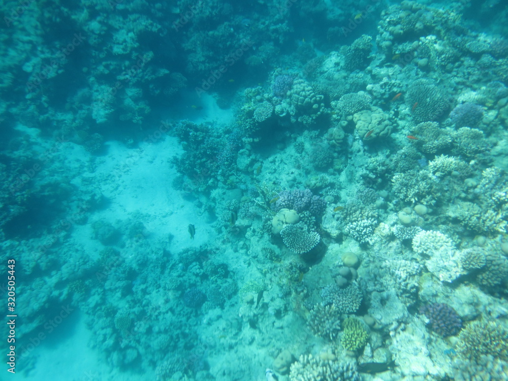 Fototapeta premium Egypt Sharm Al Sheikh