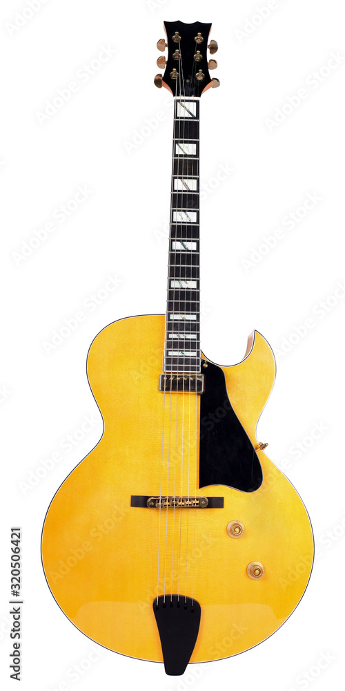 Fototapeta premium guitar