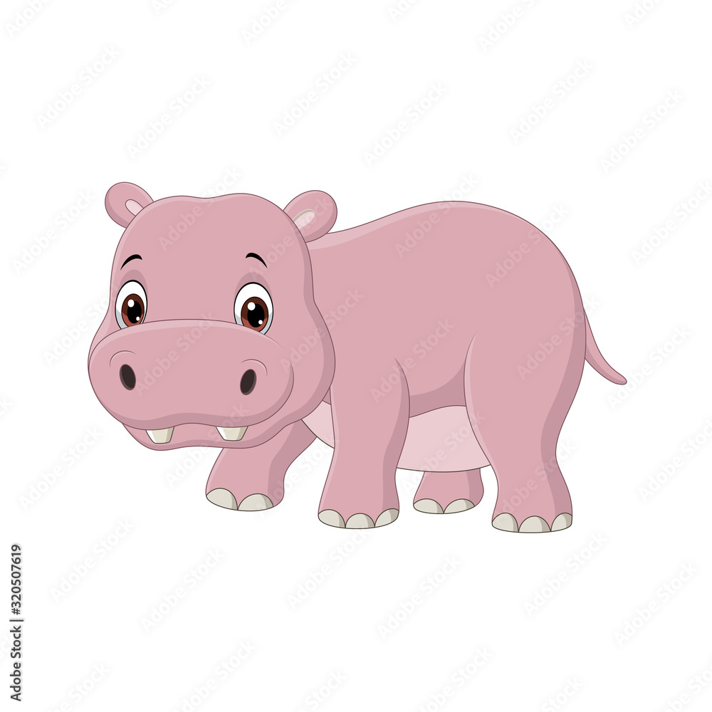 Cute baby hippo on white background
