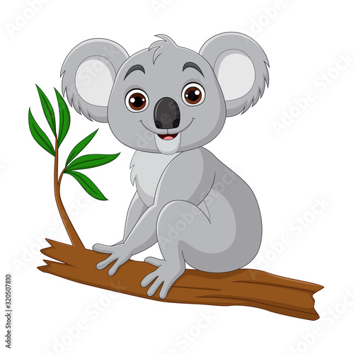 Cute koala cartoon sitting on a tree branch
