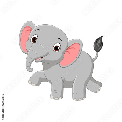 Cute baby elephant isolated on white background