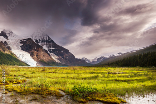 Mt Robson