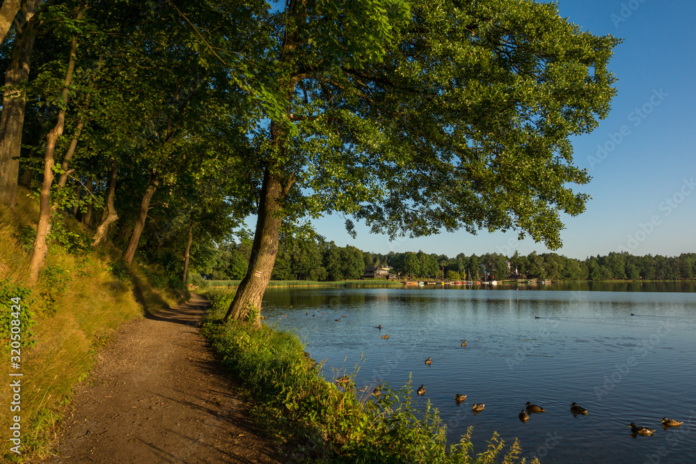 Naklejka premium Path near Olecko Wielkie lake in Olecko, Masuria, Poland