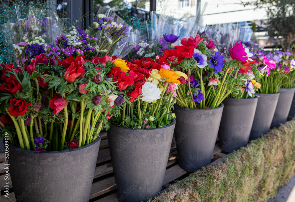 Everyday flowers counter with variety of fresh cut flowers such as persian buttercups, anemone coronaria, sea lavender for your interior decor at the greek garden shop in the spring time.