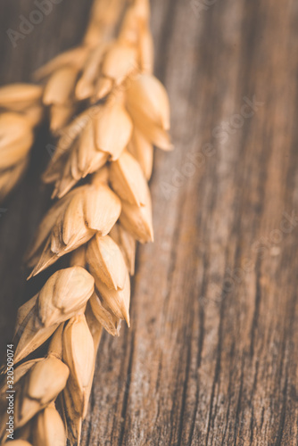Ripe ears of wheat on the rustic wooden background. Selective focus.