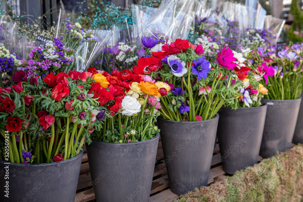 Everyday flowers counter with variety of fresh cut flowers such as persian buttercups, anemone coronaria, sea lavender for your interior decor at the greek garden shop in the spring time.