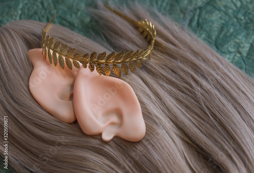 Bild auf Leinwand Elf cosplay set, detail for fairy costume, ideas for masquerade