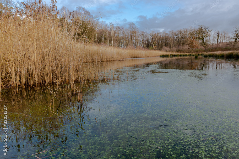 Kelchterhoef park which is a wonderful family-friendly walking park located in Wijers, Limburg, Belgum