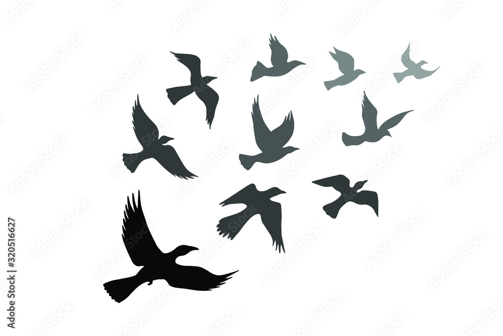 birds are flying, flock. eps10 vector stock illustration. birds are flying, flock. eps10 vector stock illustration.